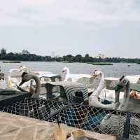 Sipping Bar - chill coffee in central of a Hanoi's lake
