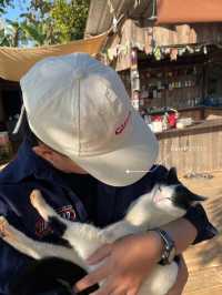 Doolaylay • ไปกี่รอบก็ไม่เคยเบื่อ 🏡🛖⛰️🩵🥰