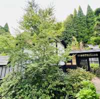 日本🇯🇵本地人才懂享受的溫泉♨️旅館