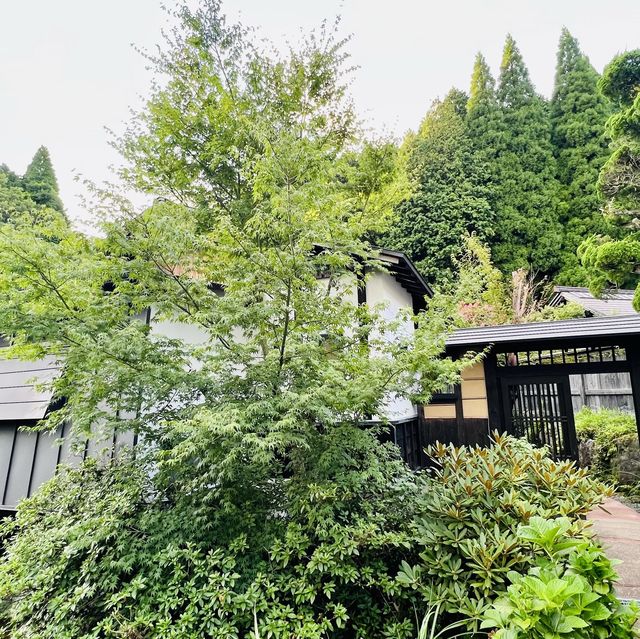 日本🇯🇵本地人才懂享受的溫泉♨️旅館