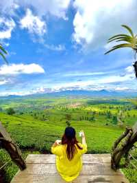 The Beautiful Tea Plantations in Bandung🎋