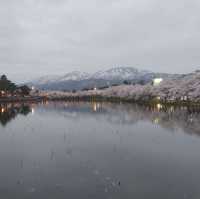 night view with takada castle 🏰 