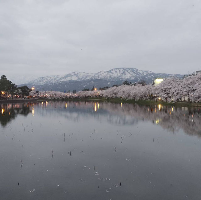 night view with takada castle 🏰 