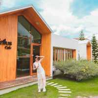 Tellus คาเฟ่สุดคิ้ว วิวป่าสน ที่เขาใหญ่