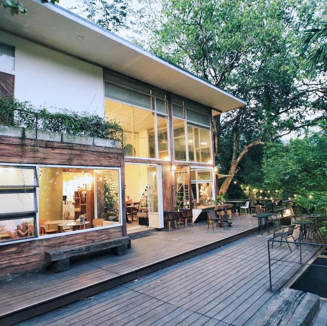 บ้านต้นไม้กลางป่าริมลำธาร บ้านในหมง treehouse 