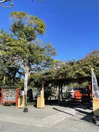 【神奈川県/旗上弁財天社】美しい源氏池に浮かぶ神社