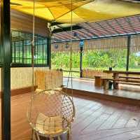 บึงบัว คาเฟ่ บรรยากาศ​ชิวๆ ริมบึงบัว 