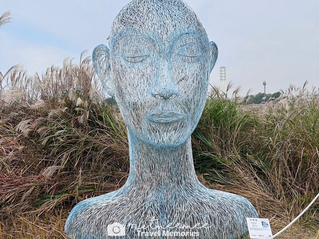 ฮานึลปาร์ค (HANEUL PARK) 