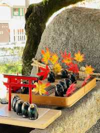 【京都府/賀茂別雷神社】神秘的な2つの立砂