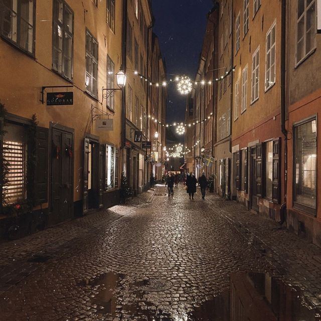 Exploring Stockholm's Seasonal Charms