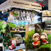 Naug Just Plants Hydroponic Houseplants