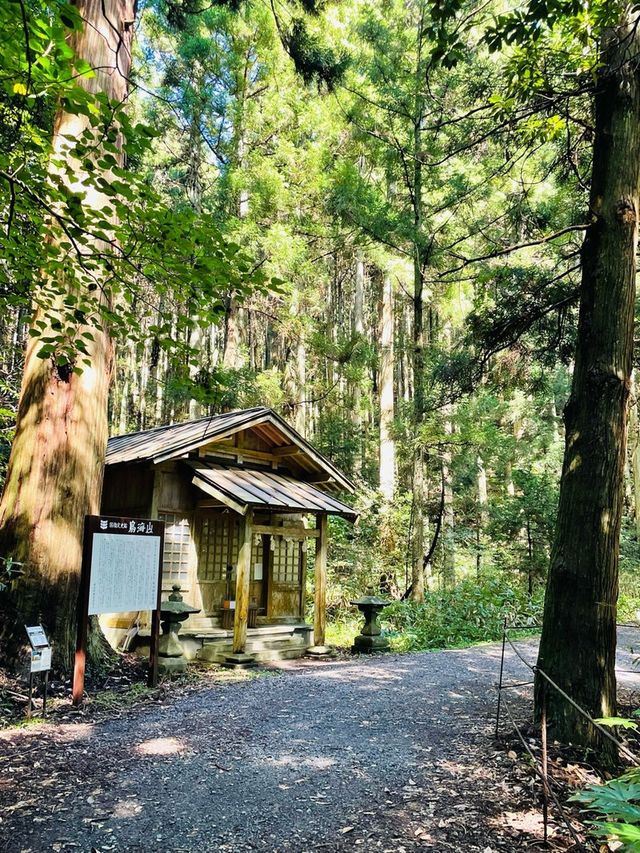 【山形県/丸池神社】2023年行ってよかった！山形県の神社③