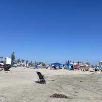 Beautiful Coronado Bench 