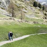 Alpine Majesty: delightful countryside
