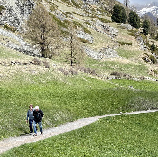 Alpine Majesty: delightful countryside