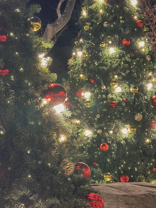 정원에 커다란 트리가 있는 청주 카페 러브레이크🎄♥️