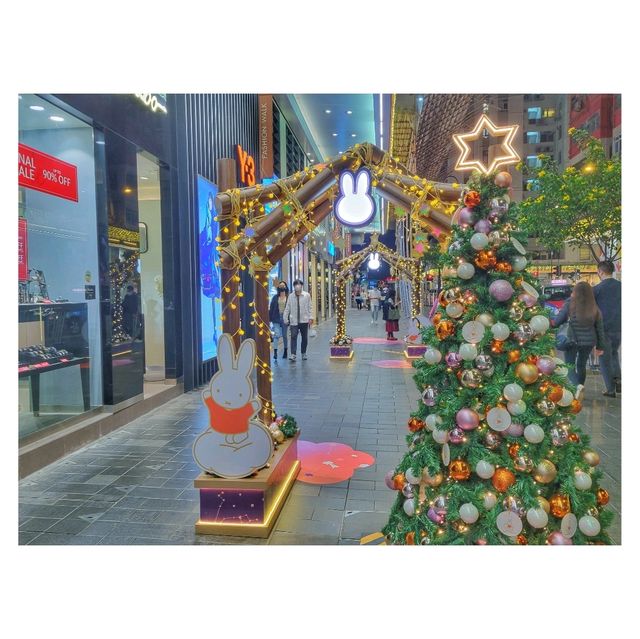 Make a Wish With Miffy。Fashion Walk Make a Wish With Miffy。Fashion Walk
