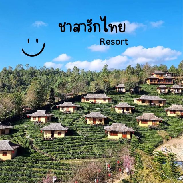 บ้านรักไทย รีสอร์ท ในเมืองปาย