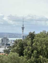 City view from Mt Eden