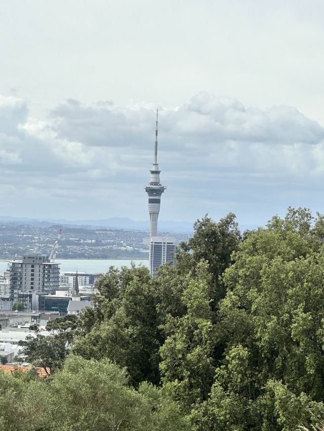 City view from Mt Eden