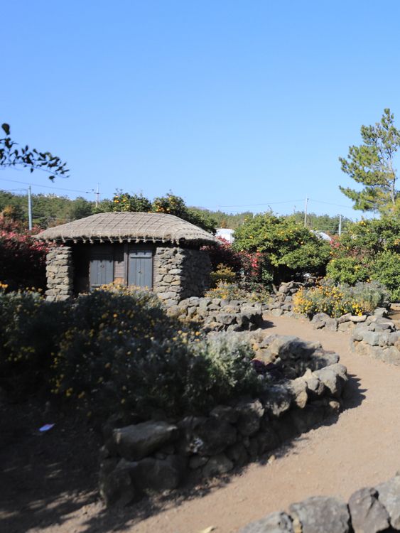 🌺동백꽃&유채꽃 모두 볼 수 있는 휴애리