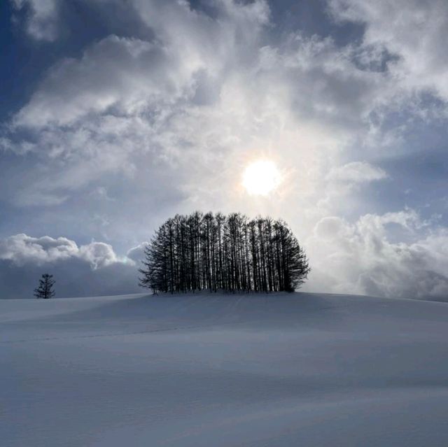 Winter Wonderland in Hokkaido