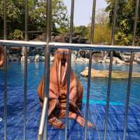 泰國最大野生動物園Safari world