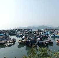 長洲環島遊
