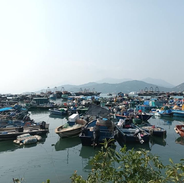長洲環島遊