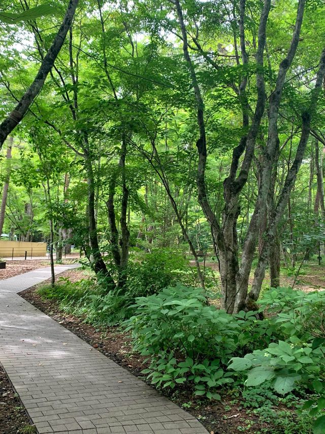 軽井沢の涼しい自然の中に佇む温かい教会🌲