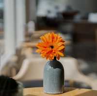 La Malila Cafe' คาเฟ่สวย ราคาเบา ที่ เขาหลัก พังงา