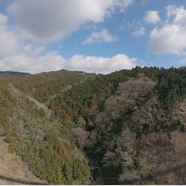 【静岡県/三島市】三島スカイウォーク