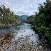 Enjoying Tassie