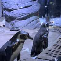 Aquaria Phuket 