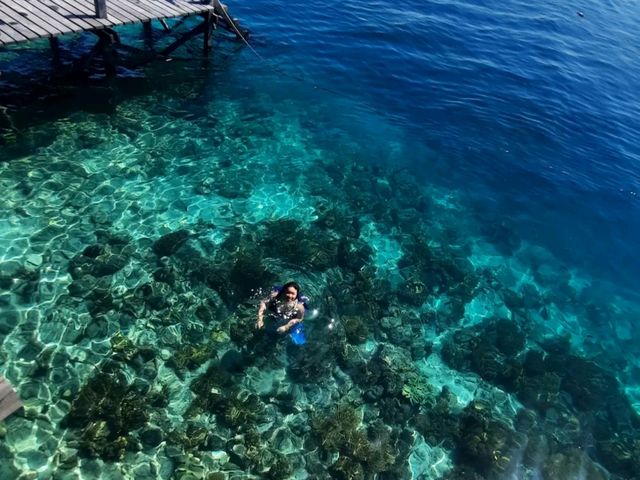 #no filter🌊純天然碧海藍天美人魚🧜🏻‍♀️