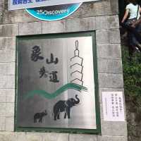 解鎖🔓象山步道‼️台北健行徑🦾遠望台北101🫶🏻