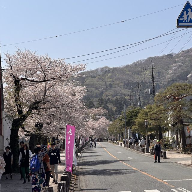 東京近郊賞櫻地推介 - 長瀞川