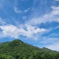 가야산야생화식물원