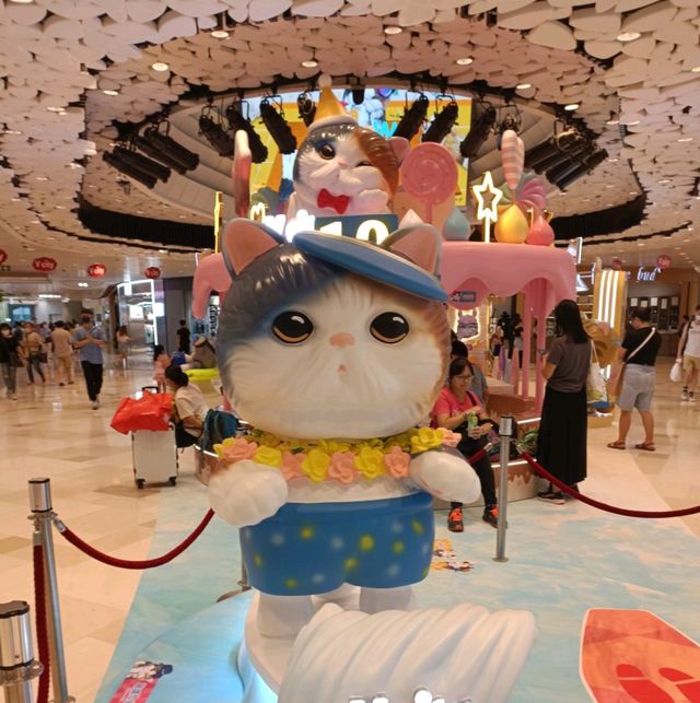 屯門V City 🐱🐱 The Meowaii Fiesta 💕