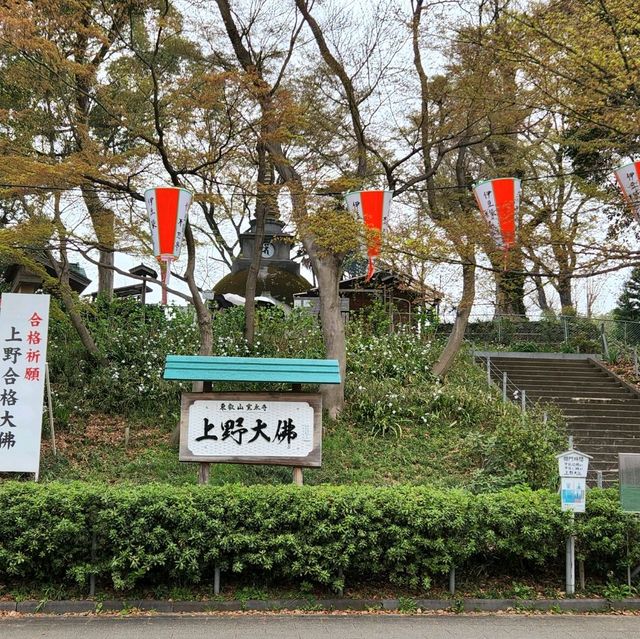 Cherry blossom viewing Park