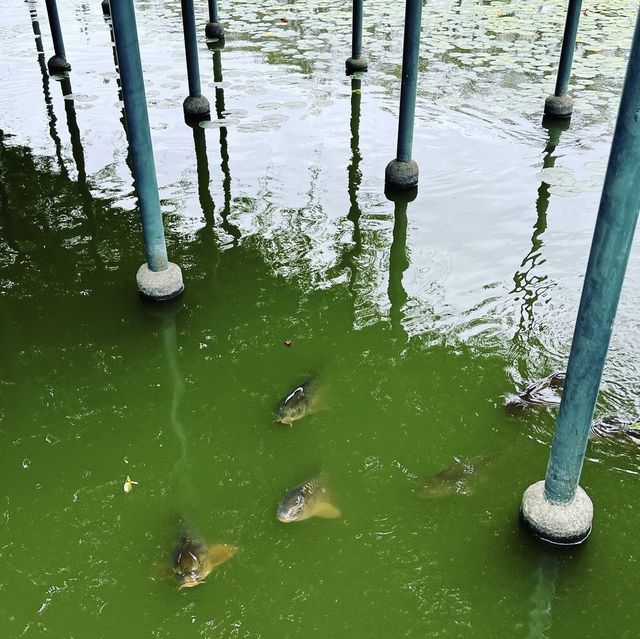 天王川公園