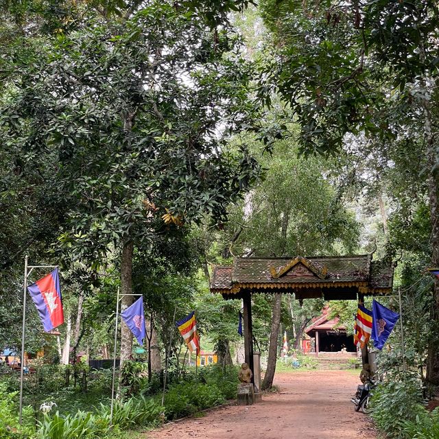 Whispers of Wisdom: Pagoda and School