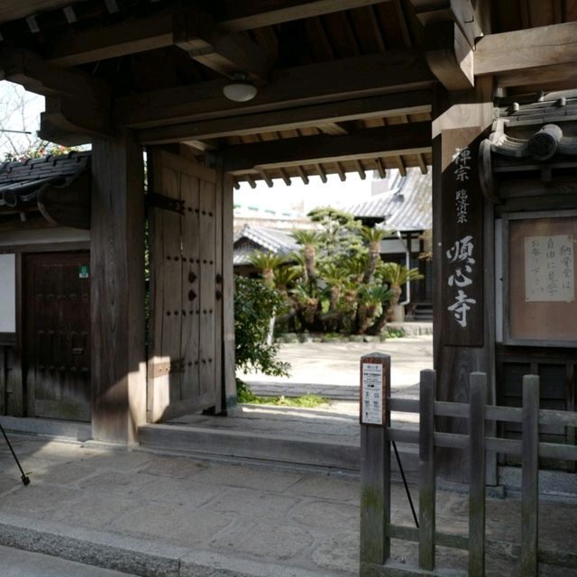 두근두근여름휴가 일본 후쿠오카 사찰 여행 Shofukuji 聖福寺