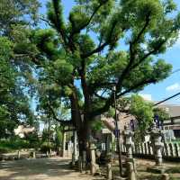 愛知旅行！名古屋「有松天満社」