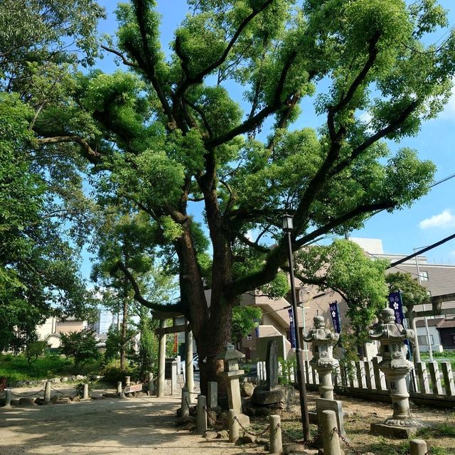 愛知旅行！名古屋「有松天満社」