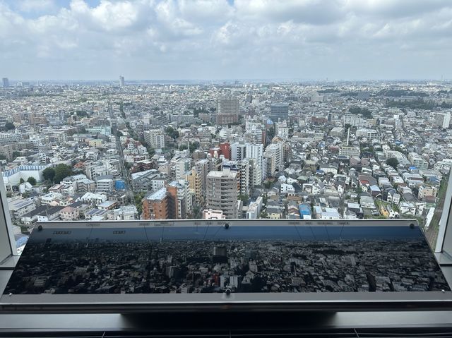 東京・三軒茶屋。無料で地上126mから都心や東京タワーの夜景も楽しめる『スカイキャロット展望ロビー』