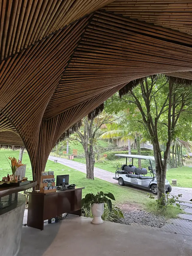 The Island Life 😍⛱️🌴👙🌊🇻🇳