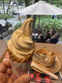 上高地 ｜大排長龍信州蘋果美食店