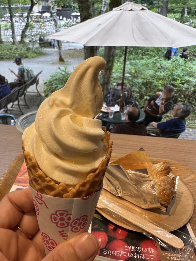 上高地 ｜大排長龍信州蘋果美食店