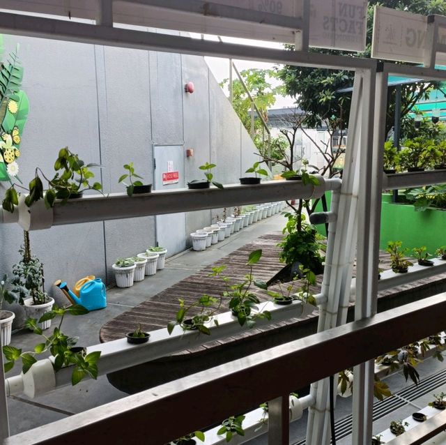 Rooftop Community Garden 